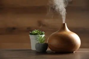 The spiritual benefits of a room diffuser are many.