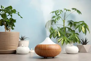Create a zen home with a diffuser.