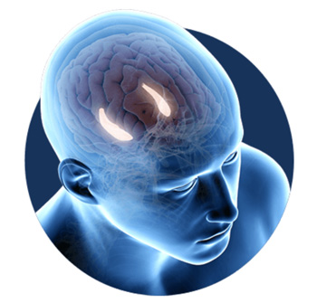 350 Brain Wave Blue face 350 Brain Wave Blue face