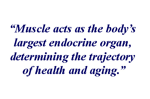 Quote from Forever Strong about muscle and aging. Quote from Forever Strong about muscle and aging.