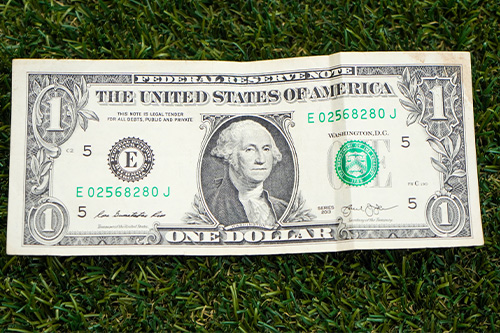 Dollar bill on grass.