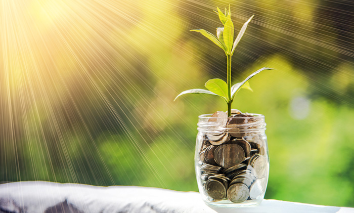 Manifest money 1/1/2024. January 1, 2024 is the focal of wealth creation for your coming year. Manifest money 1/1/2024. January 1, 2024 is the focal of wealth creation for your coming year.