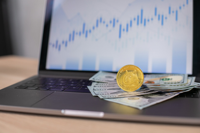 Chart and profits from making money with crypto. Chart and profits from making money with crypto.